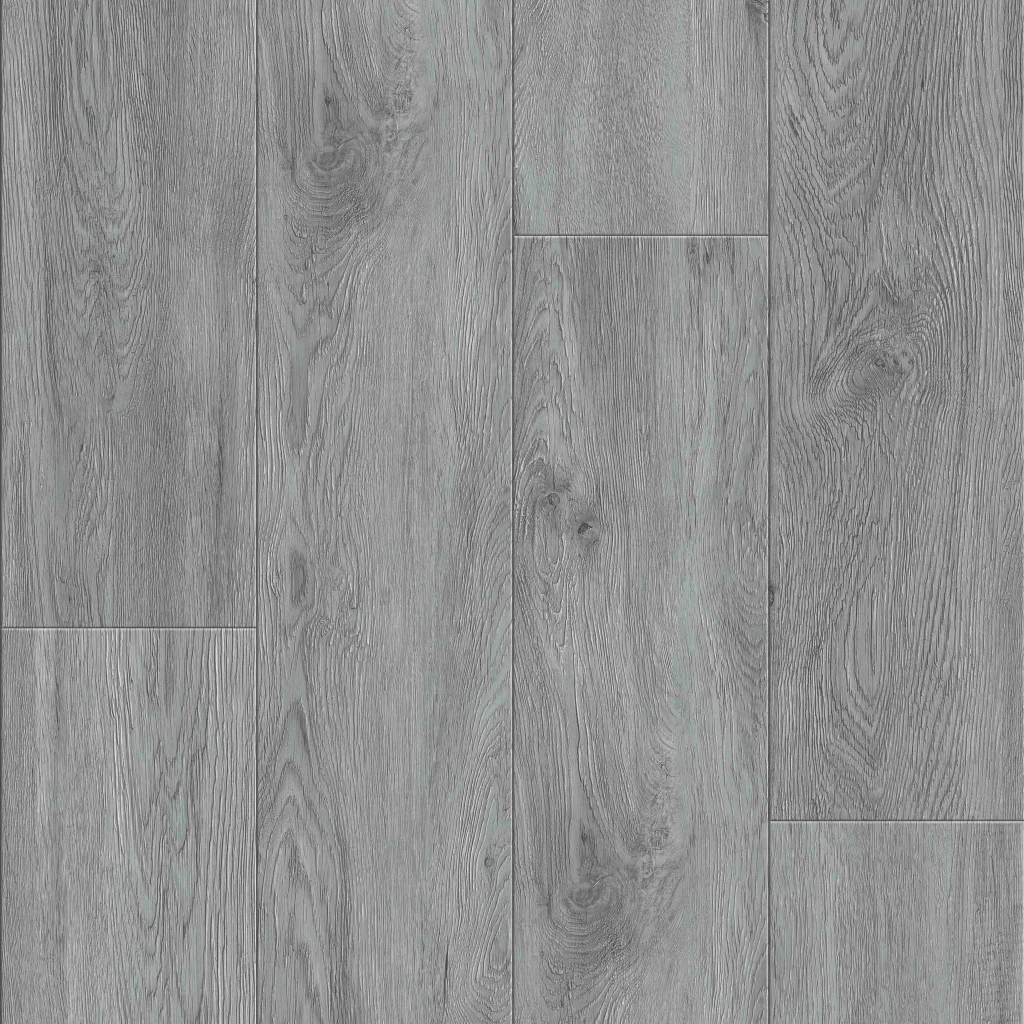 Forest Grey